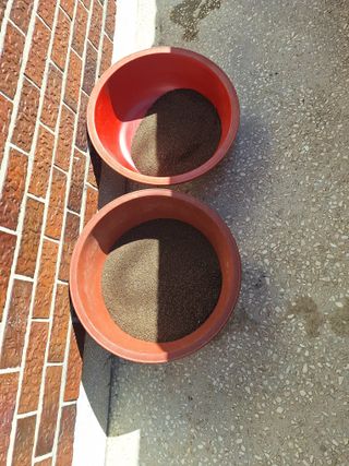 로즈마리님의 자유주제 · 자유게시판 작성글 사진