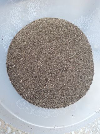 로즈마리님의 자유주제 · 자유게시판 작성글 사진