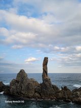 팜모닝 여행을 간다면 어디로 가고 싶으세요?·참여글 게시글 이미지