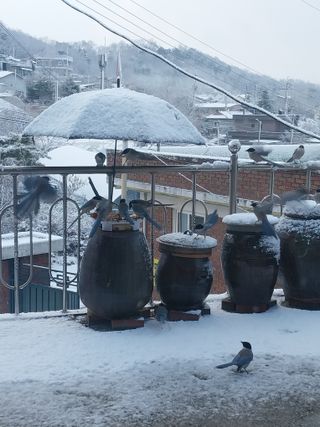 정금천님의 자유주제 · 자유게시판 작성글 사진