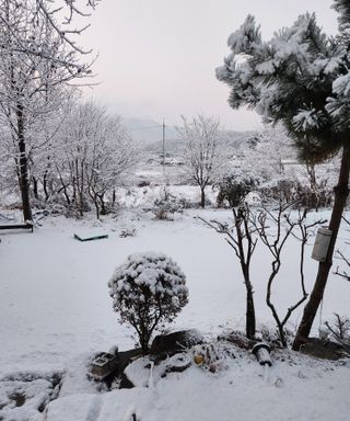 홍순강화모리님의 자유주제 · 사진전 작성글 사진