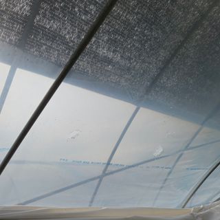 이승연님의 자유주제 · 자유게시판 작성글 사진