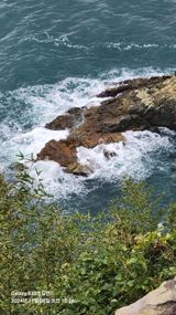 팜모닝 여행을 간다면 어디로 가고 싶으세요?·참여글 게시글 이미지