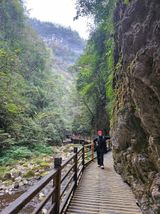 팜모닝 여행을 간다면 어디로 가고 싶으세요?·참여글 게시글 이미지