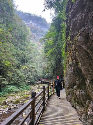 고랑이랑 임수연님의 여행을 간다면 어디로 가고 싶으세요? · 참여글 작성글 사진
