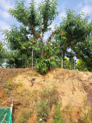 자연인님의 자유주제 · 자유게시판 작성글 사진