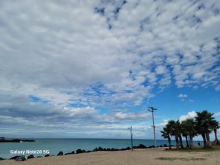 봄봄농원님의 여행을 간다면 어디로 가고 싶으세요? · 참여글 작성글 사진