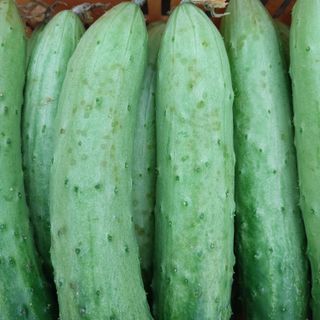 원희하늘님의 자유주제 · 자유게시판 작성글 사진