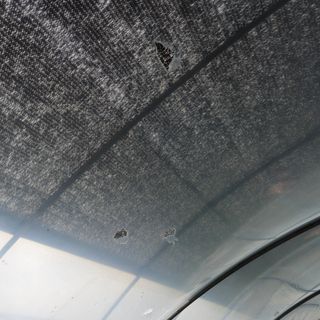 이승연님의 자유주제 · 자유게시판 작성글 사진