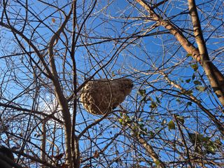 권오관님의 자유주제 · 자유게시판 작성글 사진