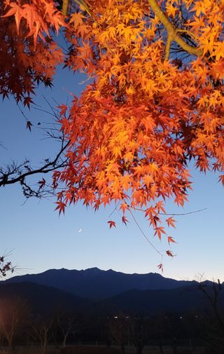 박영준님의 여행을 간다면 어디로 가고 싶으세요? · 참여글 작성글 사진