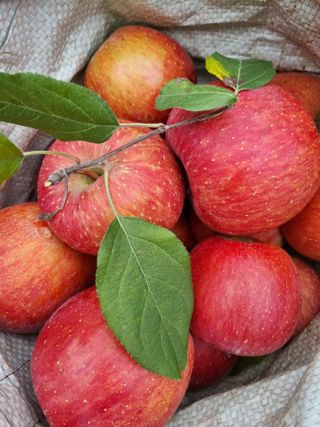 박영창님의 자유주제 · 자유게시판 작성글 사진