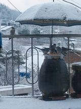 팜모닝 자유주제·자유게시판 게시글 이미지