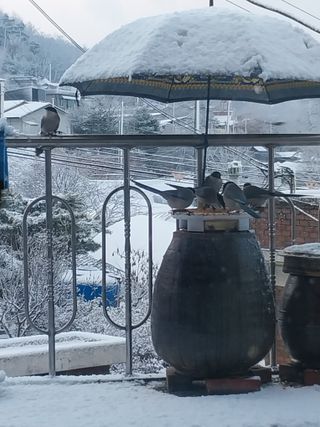 정금천님의 자유주제 · 자유게시판 작성글 사진