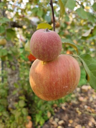 박영창님의 자유주제 · 자유게시판 작성글 사진