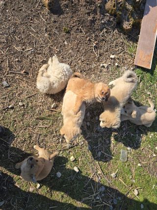 권오관님의 자유주제 · 자유게시판 작성글 사진