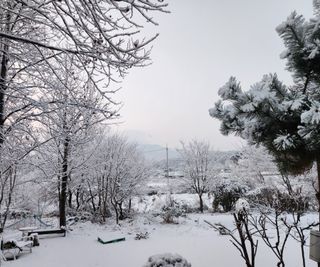 홍순강화모리님의 자유주제 · 사진전 작성글 사진