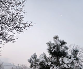 홍순강화모리님의 자유주제 · 사진전 작성글 사진