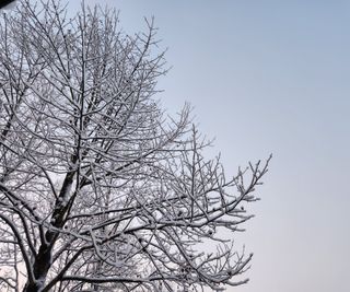 홍순강화모리님의 자유주제 · 사진전 작성글 사진