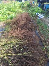 팜모닝 자유주제·자유게시판 게시글 이미지