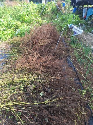 로즈마리님의 자유주제 · 자유게시판 작성글 사진