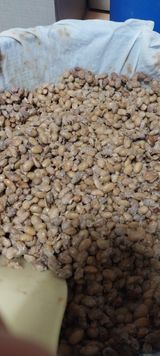 팜모닝 자유주제·사진전 게시글 이미지