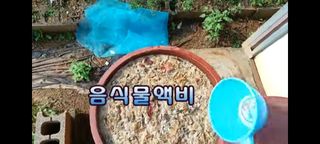 정찬영님의 자유주제 · 자유게시판 작성글 사진