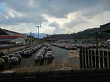 보리수치유농장님의 동지 액운타파, 좋아하는 팥 음식을 알려주세요!·참여글 작성글 사진