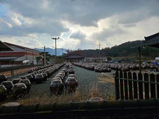 보리수치유농장님의 동지 액운타파, 좋아하는 팥 음식을 알려주세요! · 참여글 작성글 사진