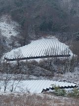 팜모닝 여행을 간다면 어디로 가고 싶으세요?·참여글 게시글 이미지