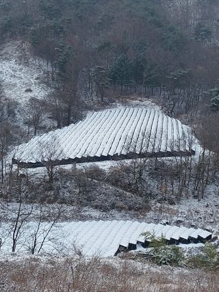 블루베리20476님의 여행을 간다면 어디로 가고 싶으세요? · 참여글 작성글 사진