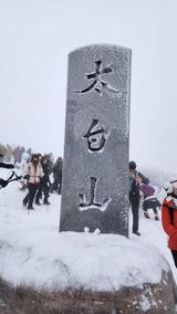 팜모닝 여행을 간다면 어디로 가고 싶으세요?·참여글 게시글 이미지