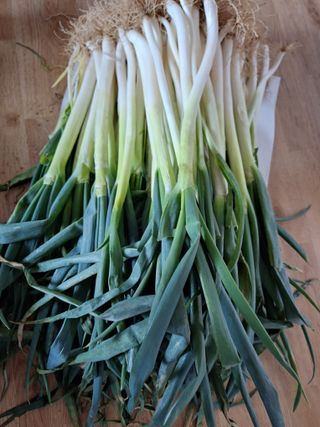 자두20879님의 자유주제 · 자유게시판 작성글 사진