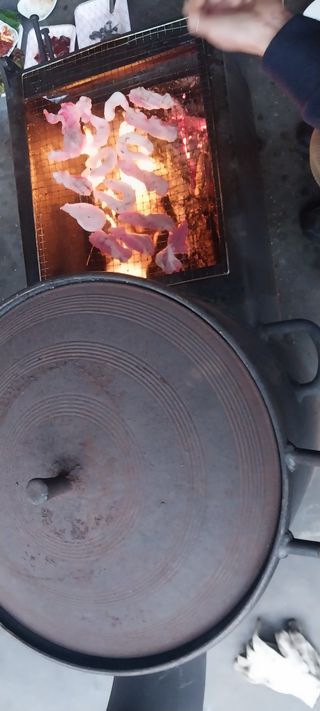 낙엽교목류15665님의 자유주제 · 자유게시판 작성글 사진