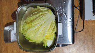 권리를위한투쟁님의 자유주제 · 자유게시판 작성글 사진