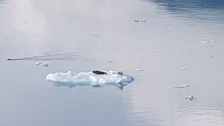 홍종철님의 여행을 간다면 어디로 가고 싶으세요? · 참여글 작성글 사진