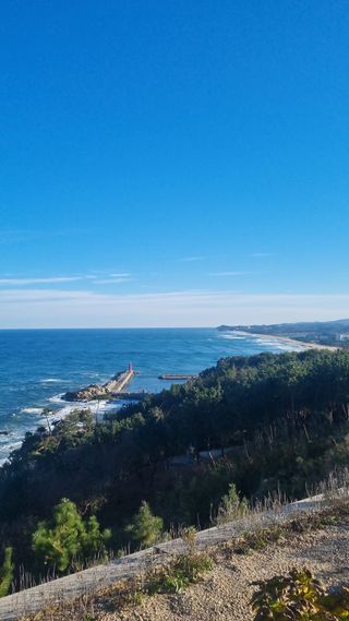 오학봉(멀티팜)님의 여행을 간다면 어디로 가고 싶으세요? · 참여글 작성글 사진