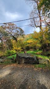 팜모닝 여행을 간다면 어디로 가고 싶으세요?·참여글 게시글 이미지