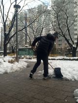 팜모닝 여행을 간다면 어디로 가고 싶으세요?·참여글 게시글 이미지