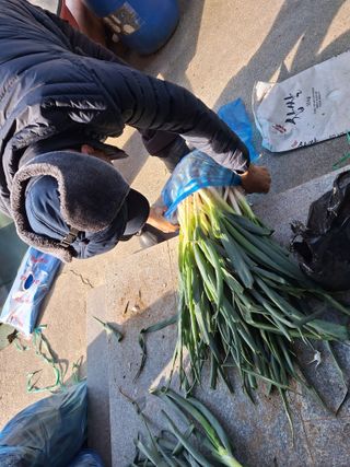 자두20879님의 자유주제 · 자유게시판 작성글 사진