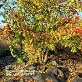 팜모닝 기타작물·자유게시판 게시글 이미지