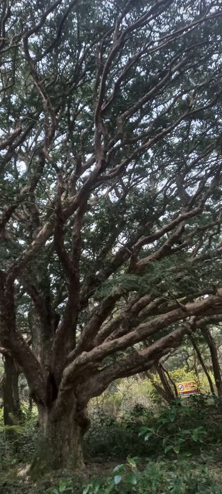 강성분님의 여행을 간다면 어디로 가고 싶으세요? · 참여글 작성글 사진