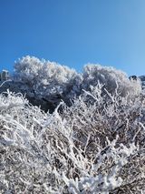 팜모닝 여행을 간다면 어디로 가고 싶으세요?·참여글 게시글 이미지