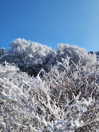 용수리또리농장님의 여행을 간다면 어디로 가고 싶으세요? · 참여글 작성글 사진