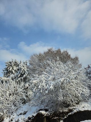 산겨릅나무님의 여행을 간다면 어디로 가고 싶으세요? · 참여글 작성글 사진