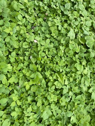 박동주님의 자유주제 · 자유게시판 작성글 사진