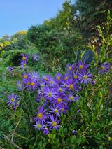 팜모닝 여행을 간다면 어디로 가고 싶으세요?·참여글 게시글 이미지