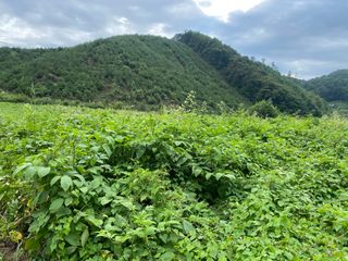 박동주님의 자유주제 · 자유게시판 작성글 사진