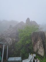 팜모닝 여행을 간다면 어디로 가고 싶으세요?·참여글 게시글 이미지