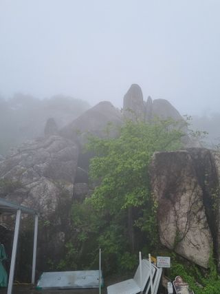 대봉감&단감님의 여행을 간다면 어디로 가고 싶으세요? · 참여글 작성글 사진